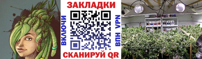 Наркошоп купить APVP  COCAIN  АМФ  ГАШИШ  Мефедрон  Киселёвск