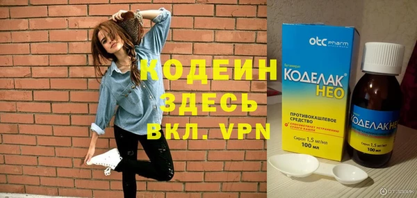 первитин Инта