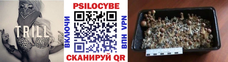 Купить  Киселёвск  Псилоцибиновые грибы прущие грибы 